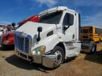 2016 Freigliner 2016 Freightliner Cascadia 113 Semi Truck