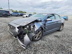 2019 Hyundai Sonata sel for sale in Thonotosassa, FL