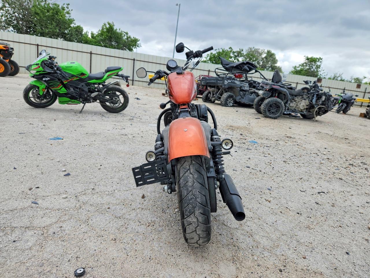 2020 Harley-Davidson XL883 N