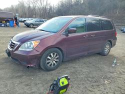 2010 Honda Odyssey exl for sale in Marlboro, NY