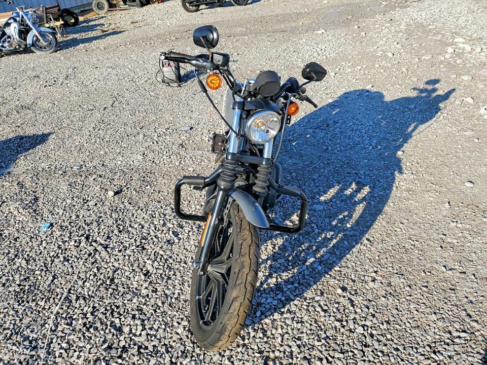 2022 Harley-Davidson XL883 N