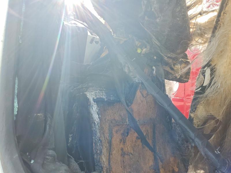 2020 Freigliner 2020 Freightliner Cascadia 126 Semi Truck