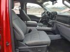 2025 Ford F150 XLT