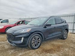 Ford salvage cars for sale: 2020 Ford Escape Titanium
