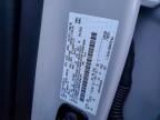 2024 Ford F150 XLT
