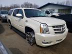 2013 Cadillac Escalade