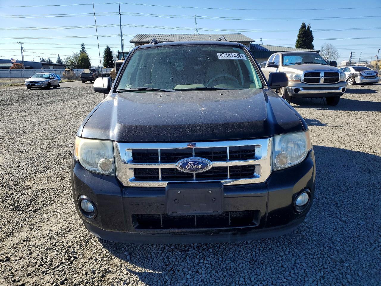 2010 Ford Escape xlt