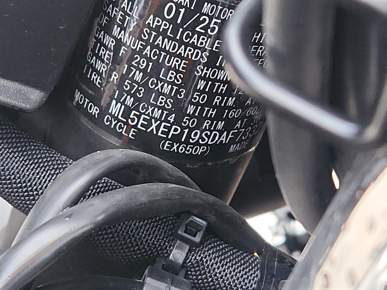 2025 Kawasaki EX650 P