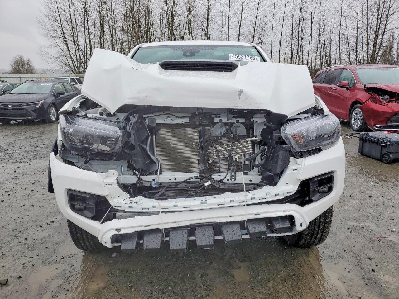 2019 Toyota Tacoma TRD PRO