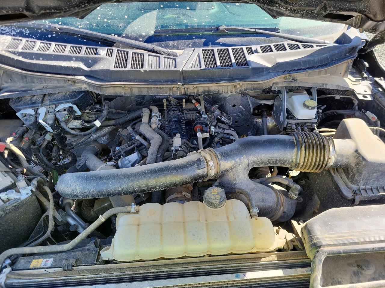 2025 Ford F150 XLT