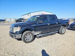 Salvage cars for sale from Copart Amarillo, TX: 2014 Ford F150 Supercrew