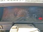 1988 Toyota Pickup Base