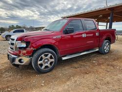 Ford F150 salvage cars for sale: 2013 Ford F150 Supercrew