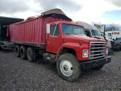 1984 International F1954 Grain Truck en venta en Cicero, IN