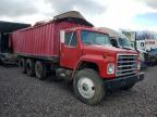 1984 International F1954 Grain Truck