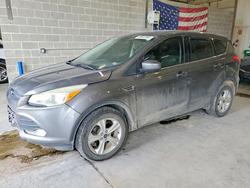 2014 Ford Escape se en venta en Columbia, MO