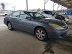 2006 Lexus Es 330 Base