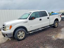 Ford Vehiculos salvage en venta: 2013 Ford F150 Supercrew