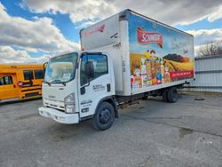 Salvage trucks for sale at Glassboro, NJ auction: 2016 Isuzu NPR HD BOX Truck