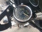 2008 Harley-Davidson XL1200 C
