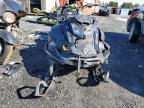 2024 Skidoo Skandic LE 900 ACE