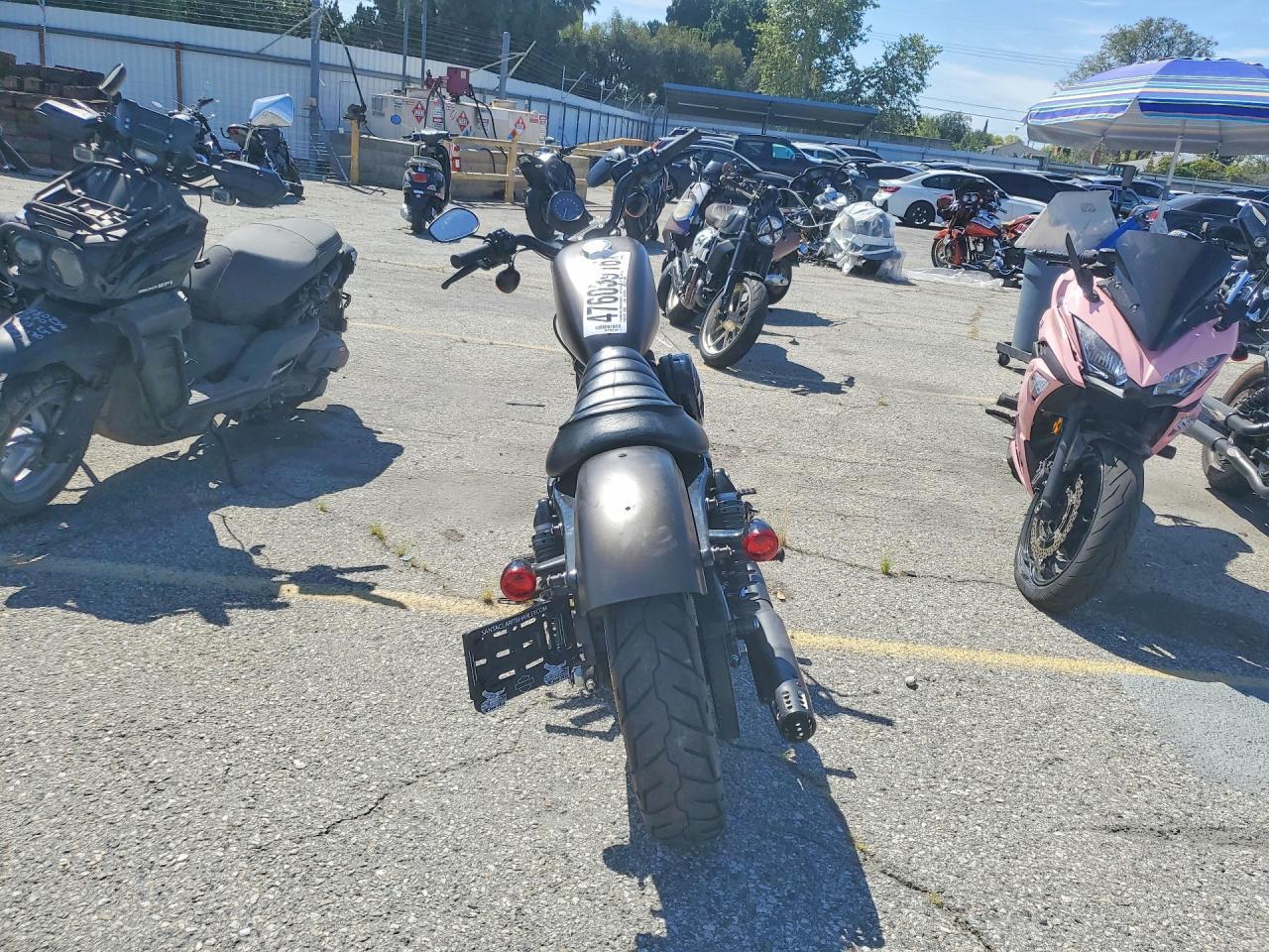 2021 Harley-Davidson XL883 N