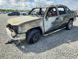Salvage trucks for sale at Thonotosassa, FL auction: 2005 Chevrolet Avalanche C1500