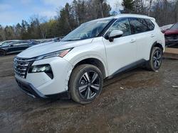2025 Niss Rogue for sale in Cookstown, ON
