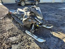 Salvage trucks for sale at Center Rutland, VT auction: 2017 Other MXZ