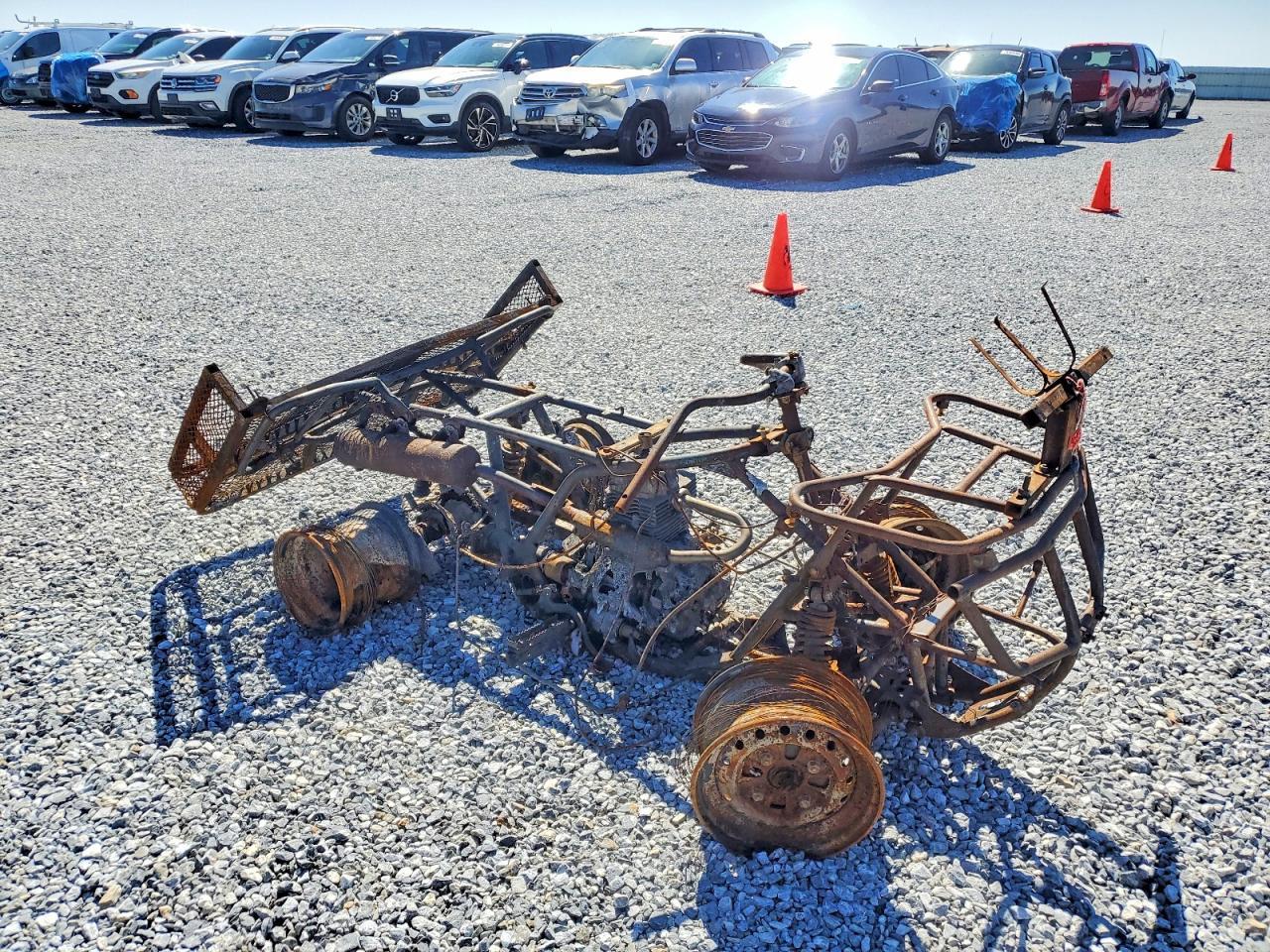 2013 Honda TRX250 TM Utility Vehicle