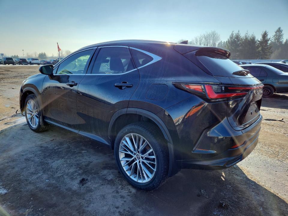 2023 Lexus Nx 350 Premium
