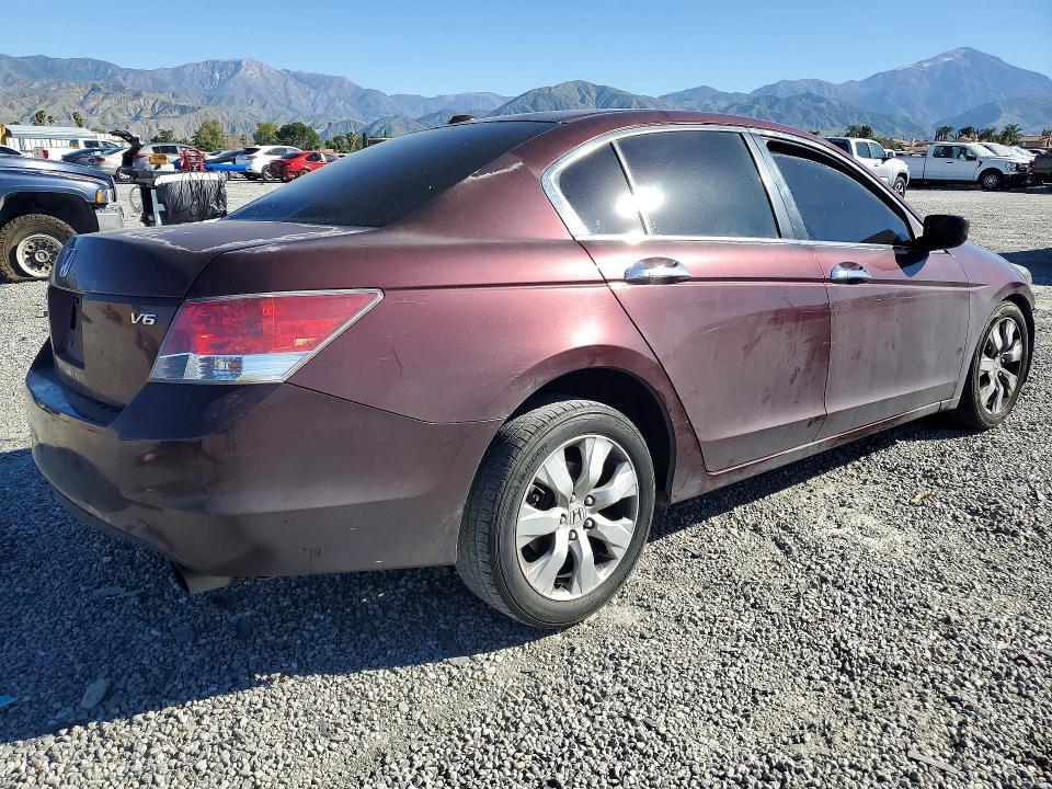2010 Honda Accord exl