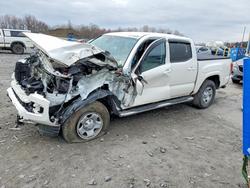 Salvage trucks for sale at Duryea, PA auction: 2023 Toyota Tacoma SR V6