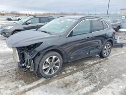 Ford salvage cars for sale: 2023 Ford Escape Platinum