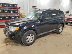 2010 Ford Escape Limited for sale in Ham Lake, MN