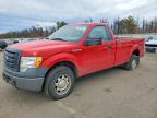2010 Ford F150