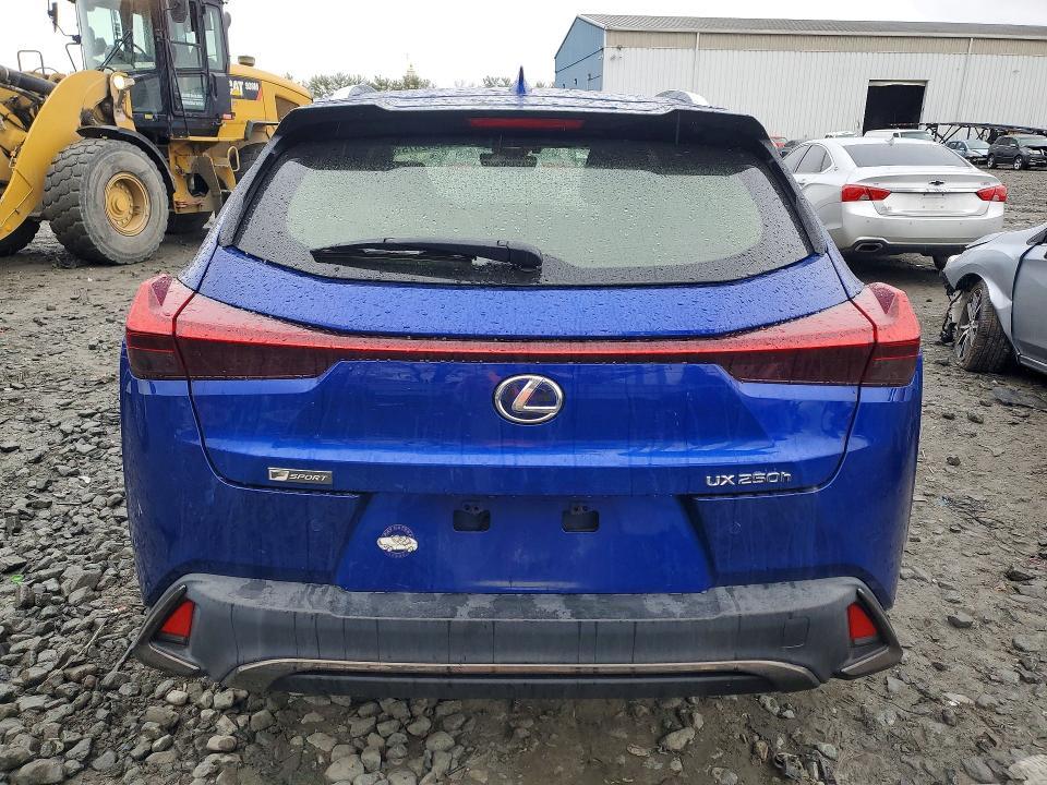 2019 Lexus Ux 250h f Sport