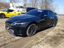 2025 Lexus Is 350 f Sport for sale in Marlboro, NY