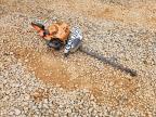 2019 Echo Hedgetrimmer