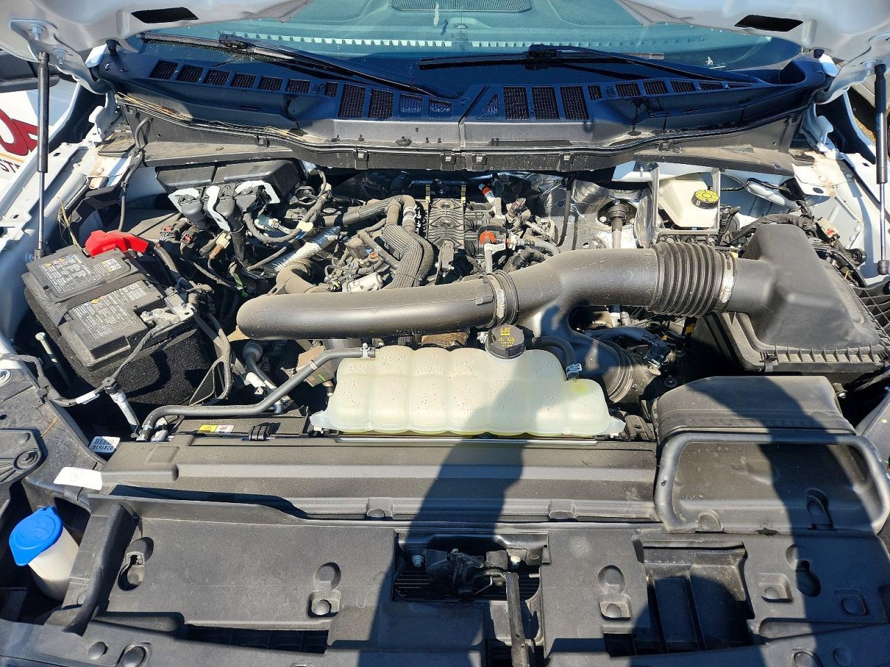 2025 Ford F150 XLT