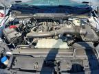 2025 Ford F150 XLT
