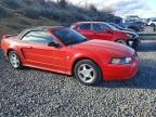 2004 Ford Mustang