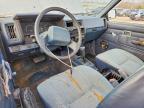 1992 Nissan Truck Base