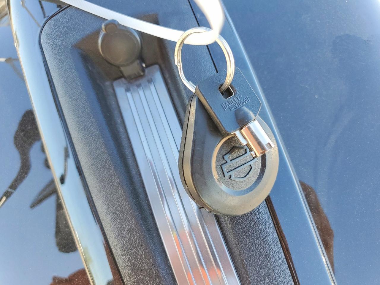 2021 Harley-Davidson Fltrk