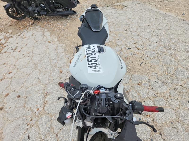2025 Kawasaki Zx636 k