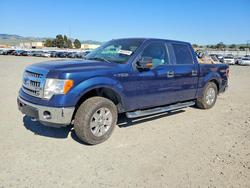 Salvage trucks for sale at American Canyon, CA auction: 2013 Ford F150 Supercrew