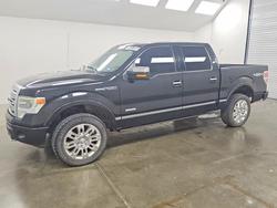Salvage trucks for sale at Wilmer, TX auction: 2013 Ford F150 Supercrew