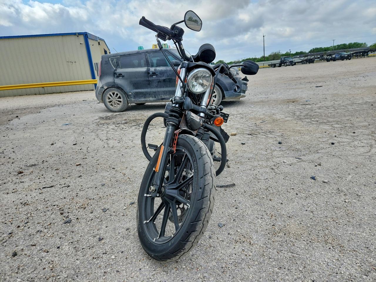 2020 Harley-Davidson XL883 N