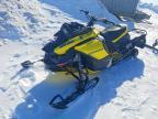 2021 Skidoo Renegade