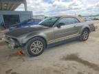 2005 Ford Mustang